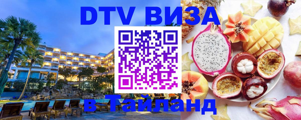 Оформление DTV визы под ключ: стоимость и тарифы, только загранпаспорт - Нальчик  18.11.2025 